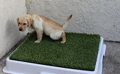 JoyingPets Artificial Pets Grass 25'x15'