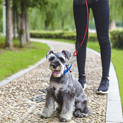 JoyingPets Dog Tie Out Cable and Stake（Red & 20FT tie only）